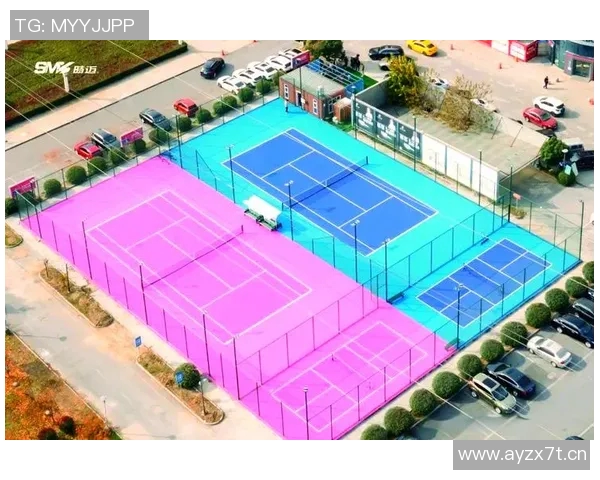 以U球为核心，探索其在现代体育竞技中的独特地位与发展趋势